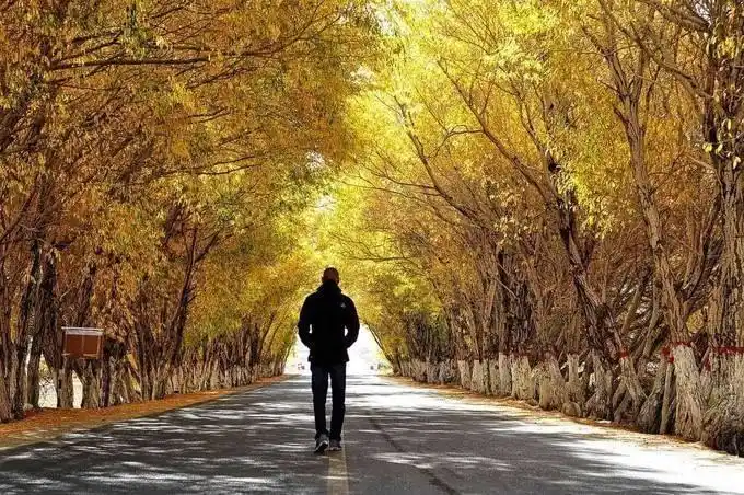 走路的人在铁路上行走的人夜晚都市女性手提行李箱走在路上图片在白色