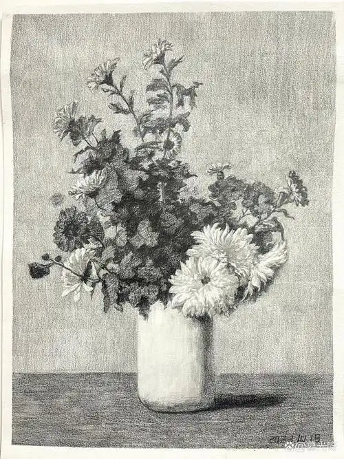 画一幅素描花卉 素描静物画起来很有意思的