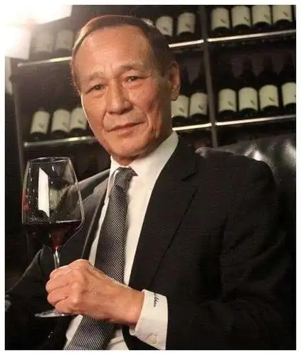 港片大反派陈惠敏黑帮老大成明星太太替坐牢从此不沾花惹草