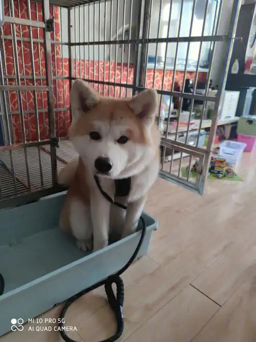 发几张二狗子小时候的照片