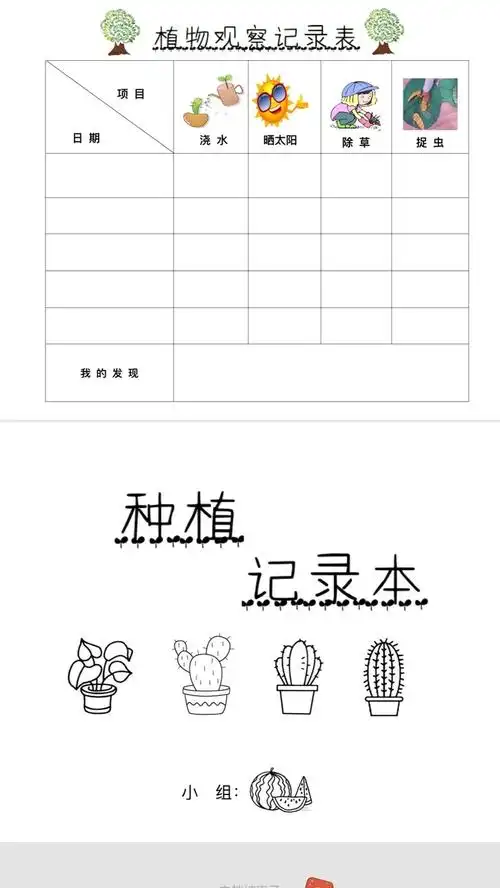 老师给你们分享一张植物观察记录表,请你每天都把小植物生长的样子