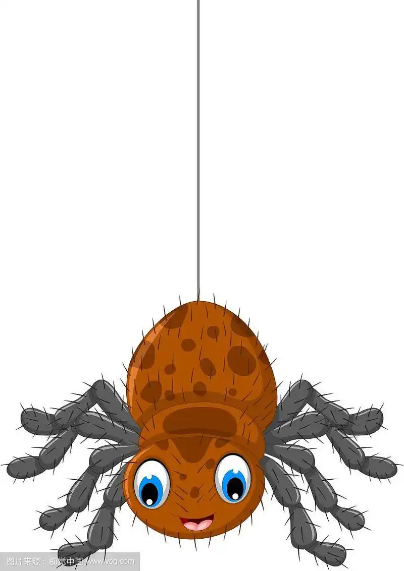 有趣的棕色蜘蛛卡通姿势