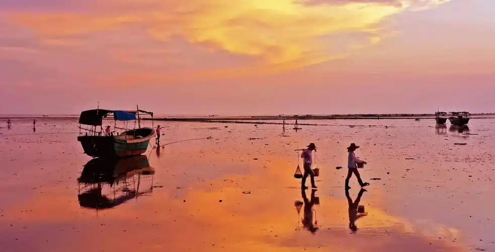 在湛江赶海当心无法自"拔"|湛江市_新浪财经_新浪网