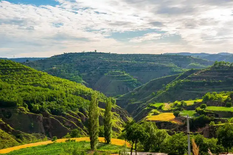 甘肃陇东黄土高原七月景色
