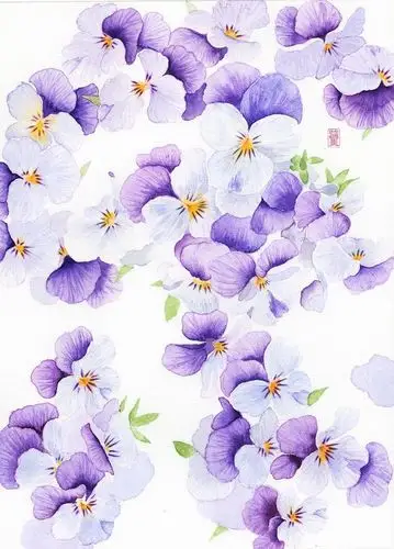 三色堇-临墨_水彩,色彩,手绘,植物,三色堇,花卉_涂鸦王国插画