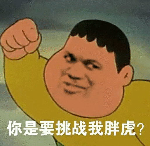 你是要挑战胖虎的表情包