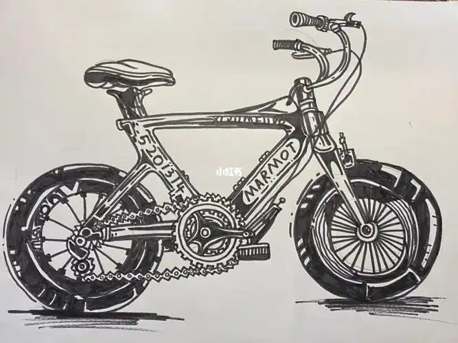 自行车04速写线描
