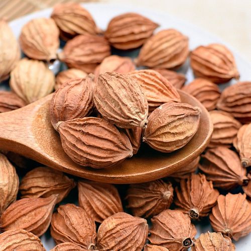 香砂仁大料500克 香砂沙仁云南金砂仁调料川香料八角桂皮香叶