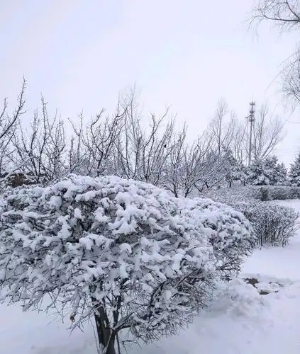 2021年3月1日张家口蔚县春雪景致
