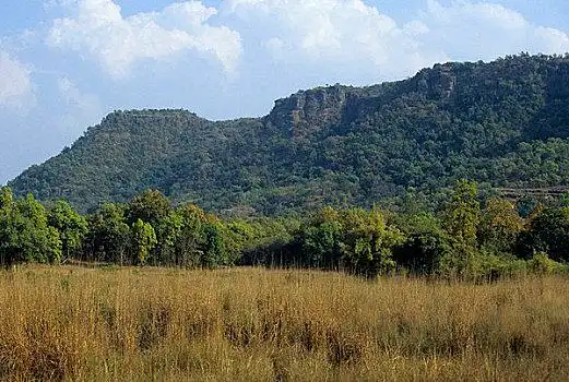 印度,班德哈维夫国家公园,风景