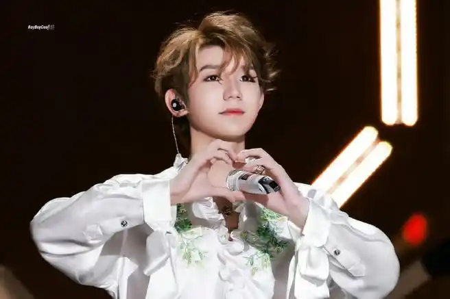 王源玩狼人杀好人牌惨遭淘汰