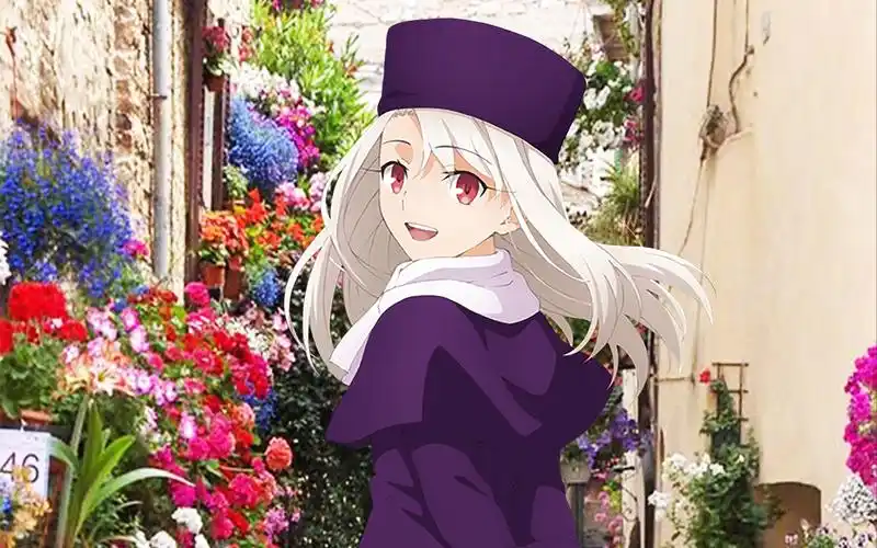 fate stay night 伊莉雅线(イリヤ)_哔哩哔哩_bilibili