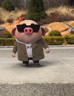 猪小屁,在抖音上可以说既能耍得了酷,又能卖得了萌.