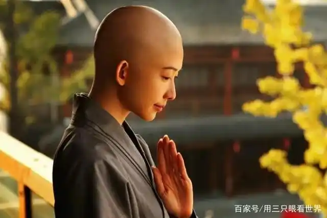 「知青岁月」弥陀庵里那个瘦削的女出家人