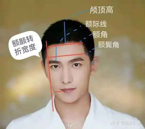 你的发际线审美大全建议收藏