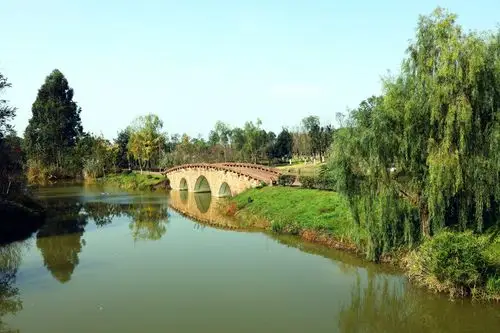 成都湿地白鹭湾_风景_poco摄影