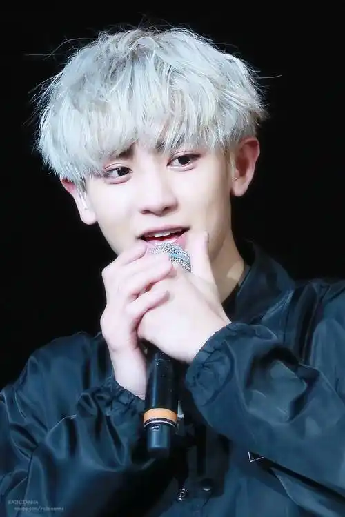 朴灿烈exochanyeol银发可爱