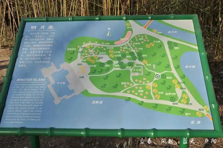 2015,紫竹院冬趣