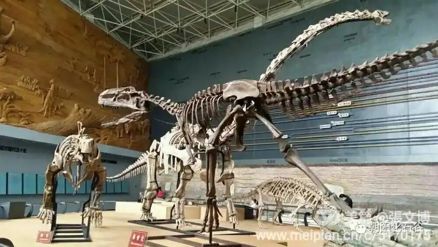 假如中国没有朝阳市,国人都惊呆了!(文博领你读懂朝阳)