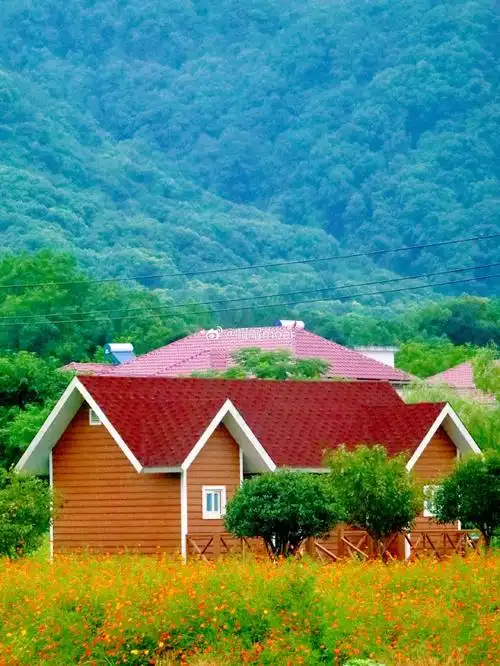 九江最浪漫的田园风光,静享自然风光:博阳河景区|在这个夏天,我发现了