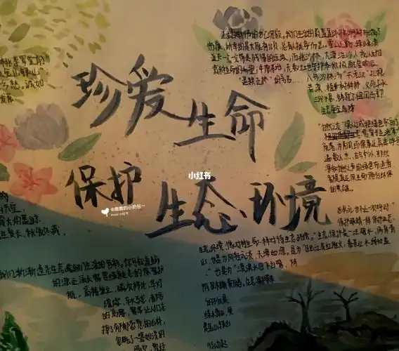 关于保护环境保护生态的手抄报图片