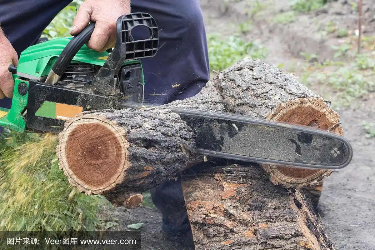 人们用电锯锯木头