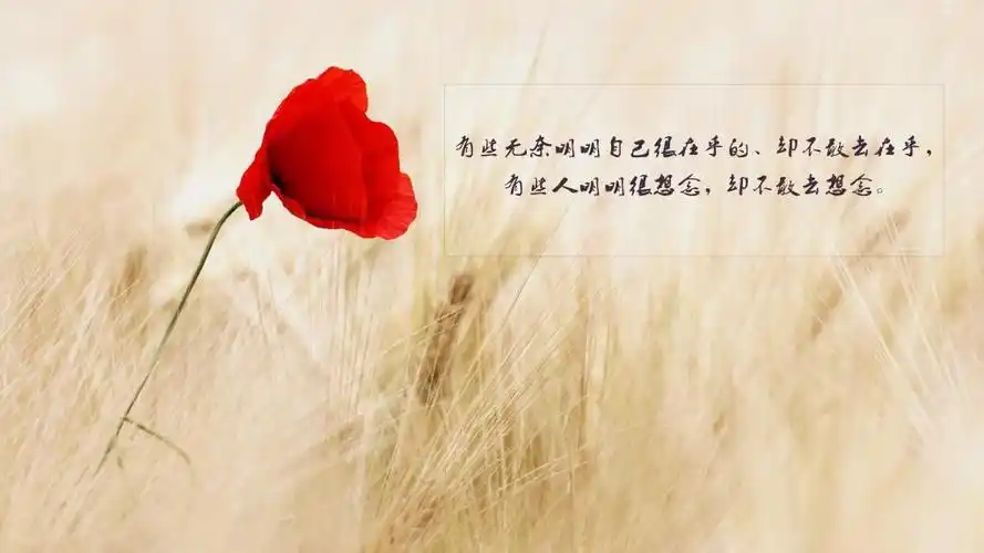 对生活无奈很现实的说说图片