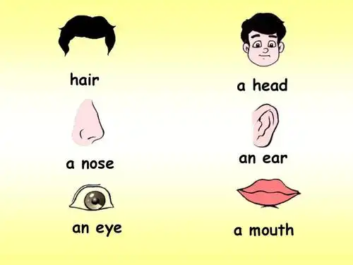 hair   head   nose an ear an eye   mouth