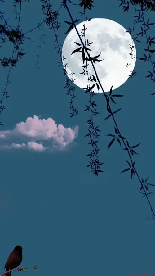 秋佳节,花好月圆."中秋节 "唯美意境 "一起看月亮