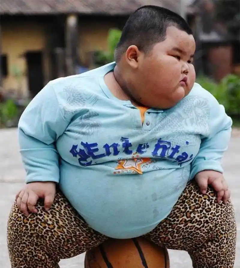 匠心计划##三度知识知识达人# #三度知识观点达人