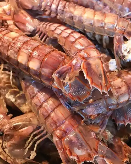 奶思桃做的清蒸皮皮虾