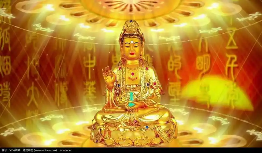 佛光普照观音动态背景视频