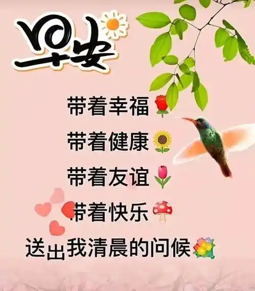 最新版最漂亮的早上好短语句子,问候是一句话;天天吉祥