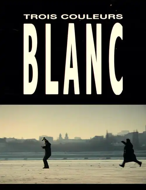 蓝白红三部曲之白1994