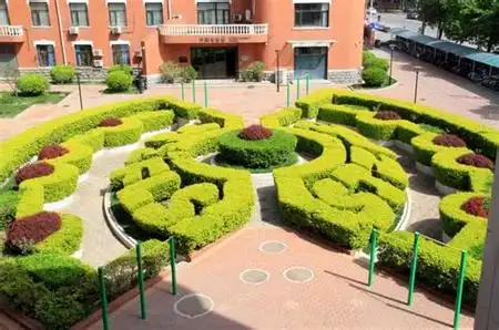 校园的花坛-写景作文200字(摘抄6篇)