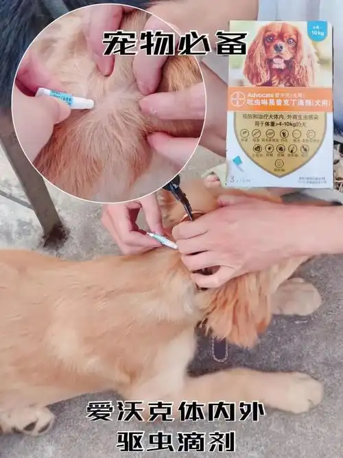 狗狗驱虫选什么63当然是爱沃克啦60