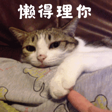 懒到一种境界的搞笑动图表情包