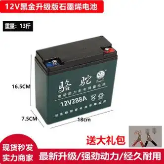 12v骆驼电瓶免维护干电瓶夜市36a60安蓄摆摊12伏铅酸 红色【图片 价格