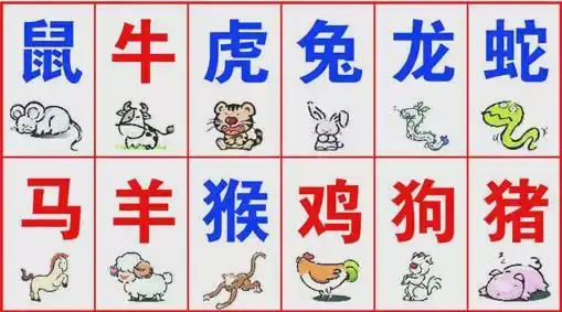 2,十二生肖排序表图:十二生肖顺序表是什么?