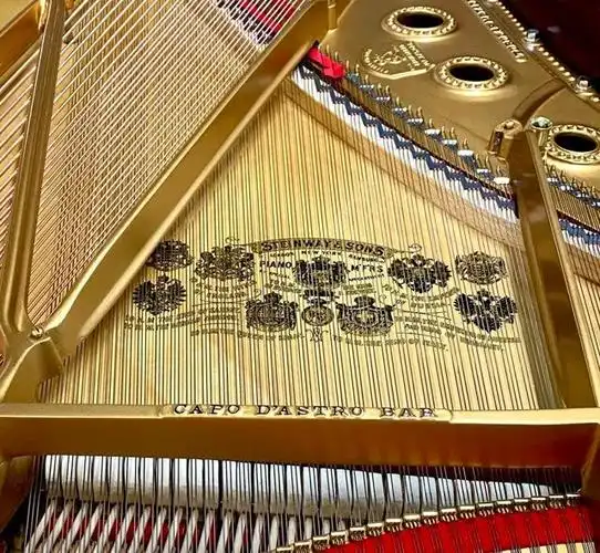 施坦威24k金超豪华雕刻钢琴:全球唯一,卢斯家族珍藏|永乐秋拍