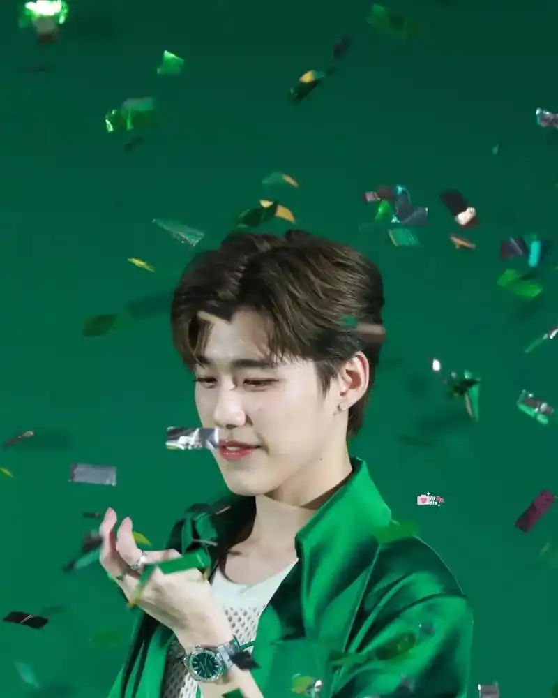 一小只绿色pp#ppkritt #林祎凯 #他泰 #泰国明星 - 抖音