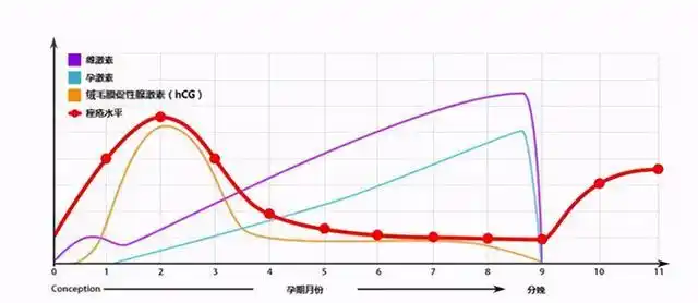 怀孕后孕妈的口味会发生变化但偏爱这两种口味的孕妈要当心