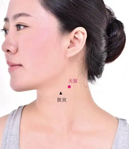 天窗穴-【九花十木】经络穴位图解-新闻中心-首页