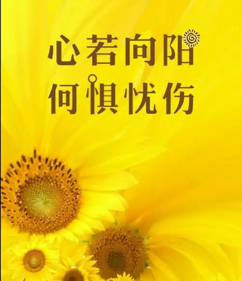 除了坚强,我别无选择