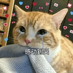 长城人寿吉祥人生重疾险表情包