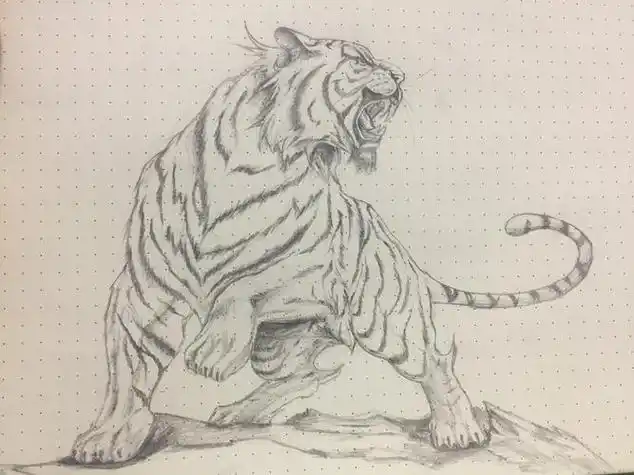 素描画老虎素描画老虎教程