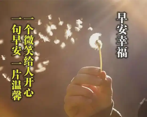 超漂亮早上好祝福语图片 特别唯美早安问候语句子图片表情|爱情|好