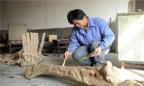 金沙江龙主要出自于中国距离现在应该有2亿年的历史(2)