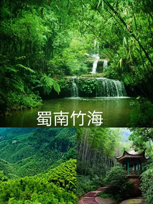 我最喜欢的蜀南竹海推荐不喜欢勿喷