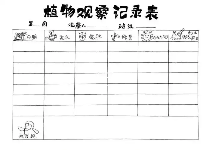 植物观察记录表